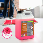 CLINEX Floral - Blush 5L